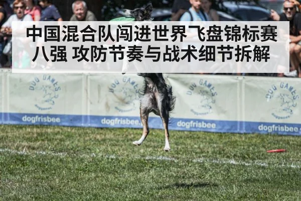 中国混合队闯进世界飞盘锦标赛八强 攻防节奏与战术细节拆解